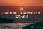 蓝莓视频 专区：关键细节整理专栏，蓝莓的视频