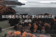 探花精选 吃瓜专栏：实时刷新的瓜圈现场