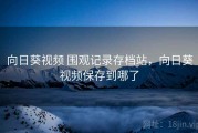 向日葵视频 围观记录存档站，向日葵视频保存到哪了