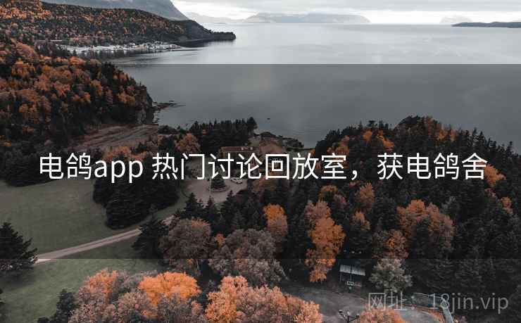 电鸽app 热门讨论回放室，获电鸽舍