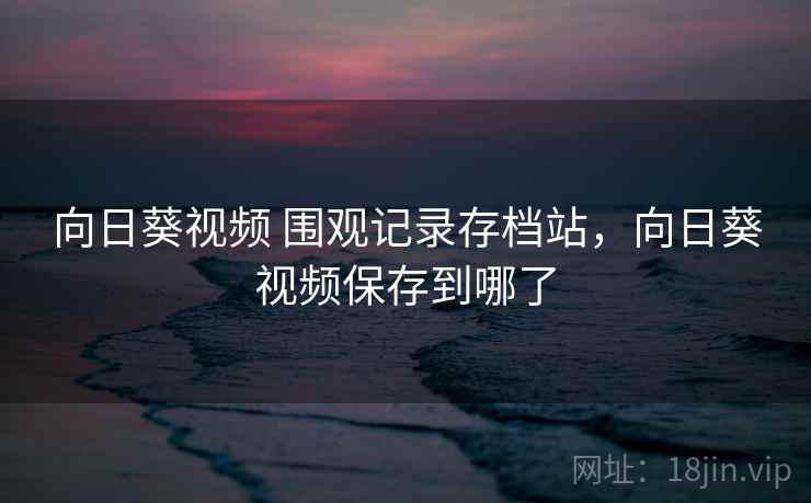 向日葵视频 围观记录存档站，向日葵视频保存到哪了
