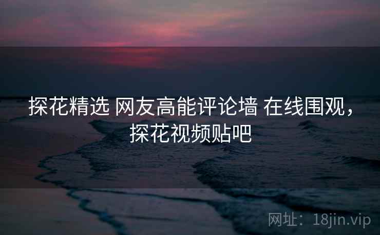 探花精选 网友高能评论墙 在线围观，探花视频贴吧