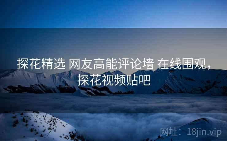 探花精选 网友高能评论墙 在线围观，探花视频贴吧
