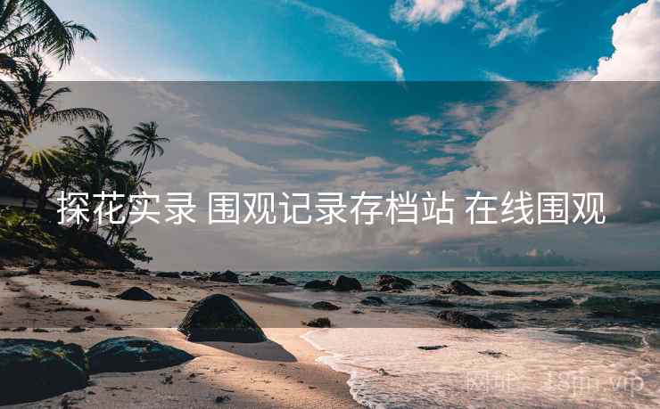 探花实录 围观记录存档站 在线围观